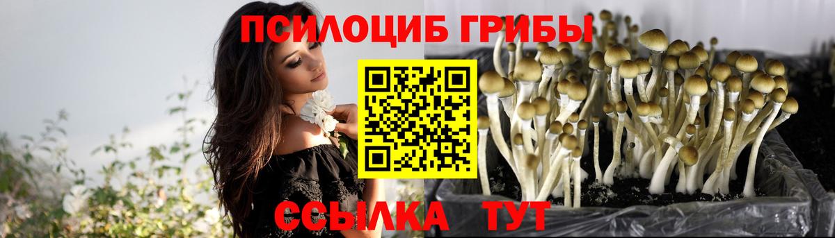 Галлюциногенные грибы MAGIC MUSHROOMS Лабытнанги